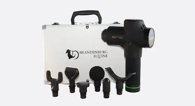 Equine Massager: Equine Owners' Feedback, Reviews and More! 7 brandenburg equine massage gun