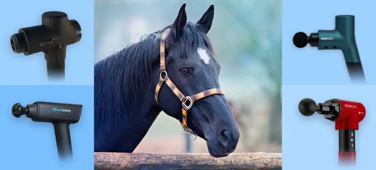 Equine Massager: Equine Owners' Feedback, Reviews and More! 5 equine massage gun