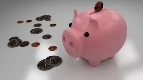 8 Key Factors to Consider Before Buying a Sports Massager 1 Piggy bank
